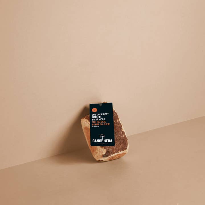 Perro mastica la raíz del brezo de un árbol para venta al por mayor de CANOPHERA GmbH