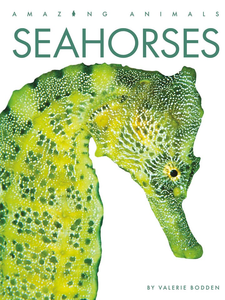 Seahorses for wholesale by The Creative Company