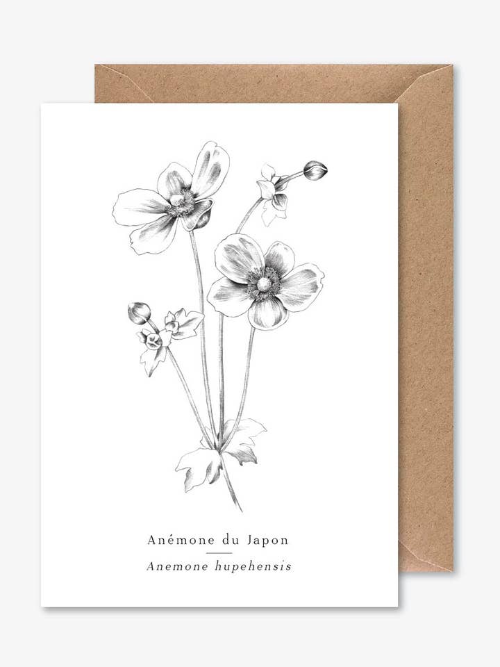Japanese anemone for wholesale by Papier Mirage