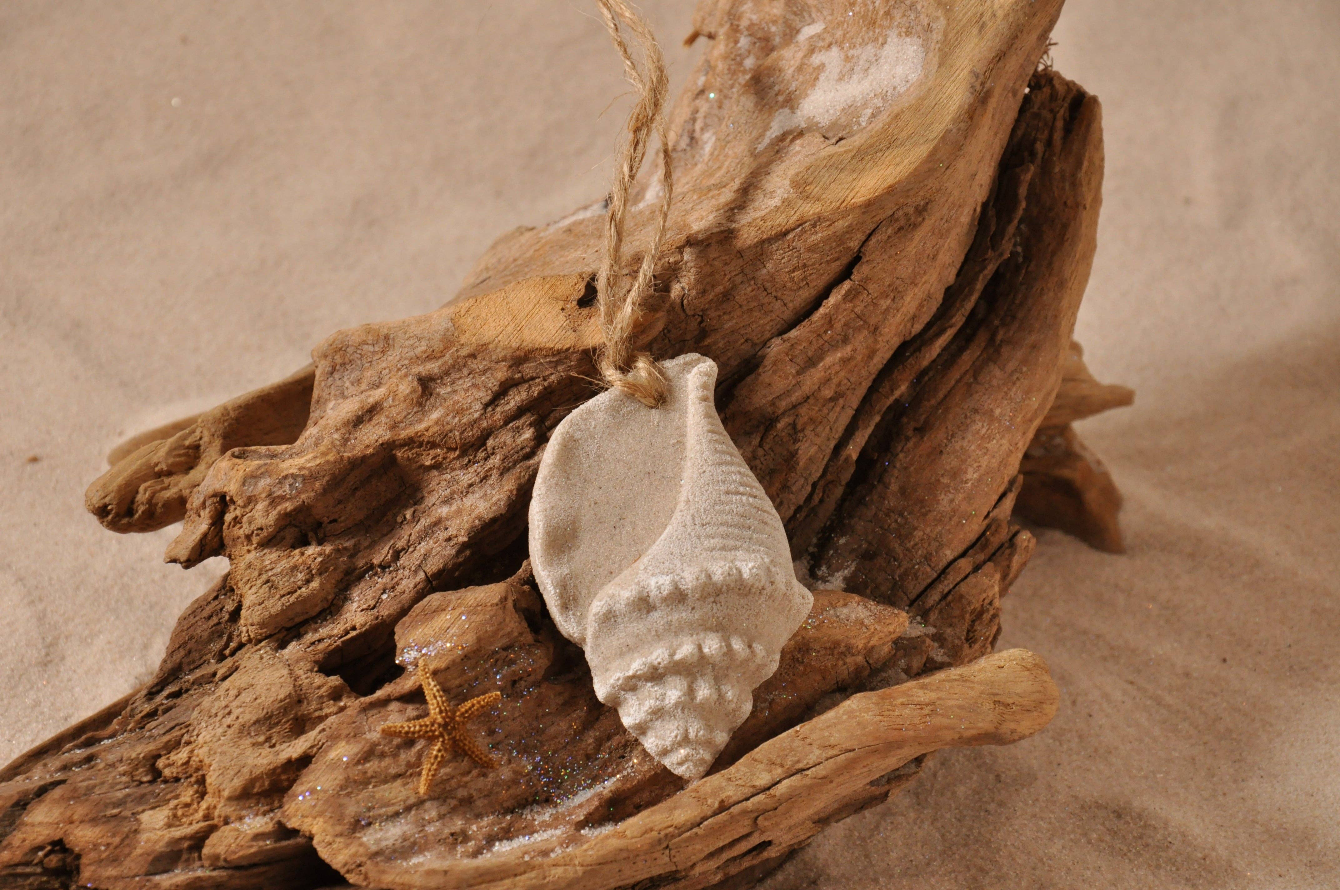 The Sand Store by Creative Artworks, Inc. - Wholesale Ornament - Triton Shell Sand Ornament1