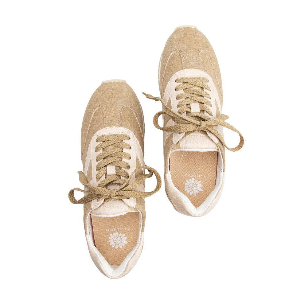 Mars Sky Shoes Wholesale - Wholesale Lifestyle Sneakers - Women's - Yellow Box AMBROSA Women Color Contrast Low Top Sneakers-12 Pairs Pack-54.45/Pair3