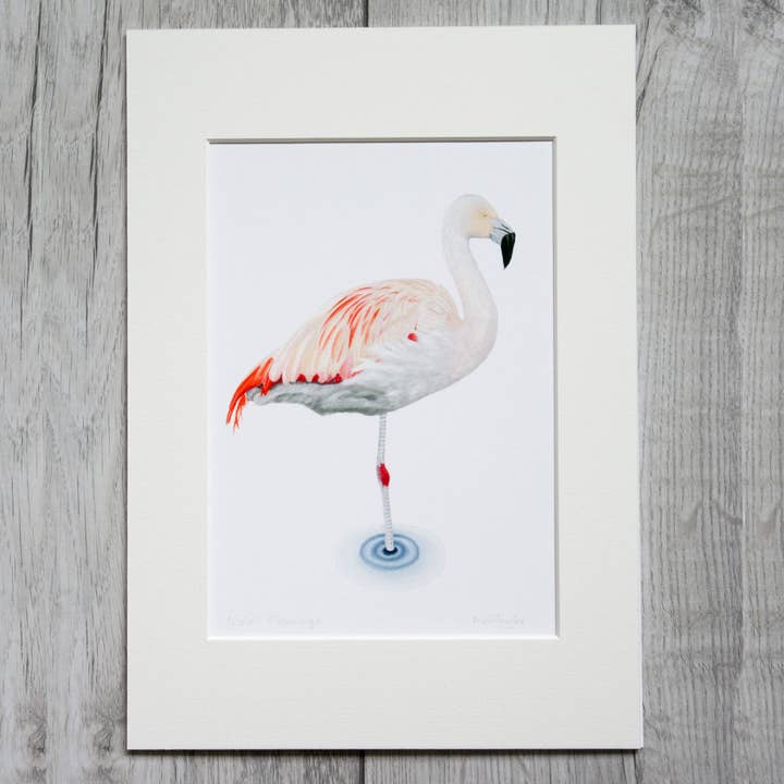 Flamingo Giclee Mounted Print for wholesale by Alan Taylor Art