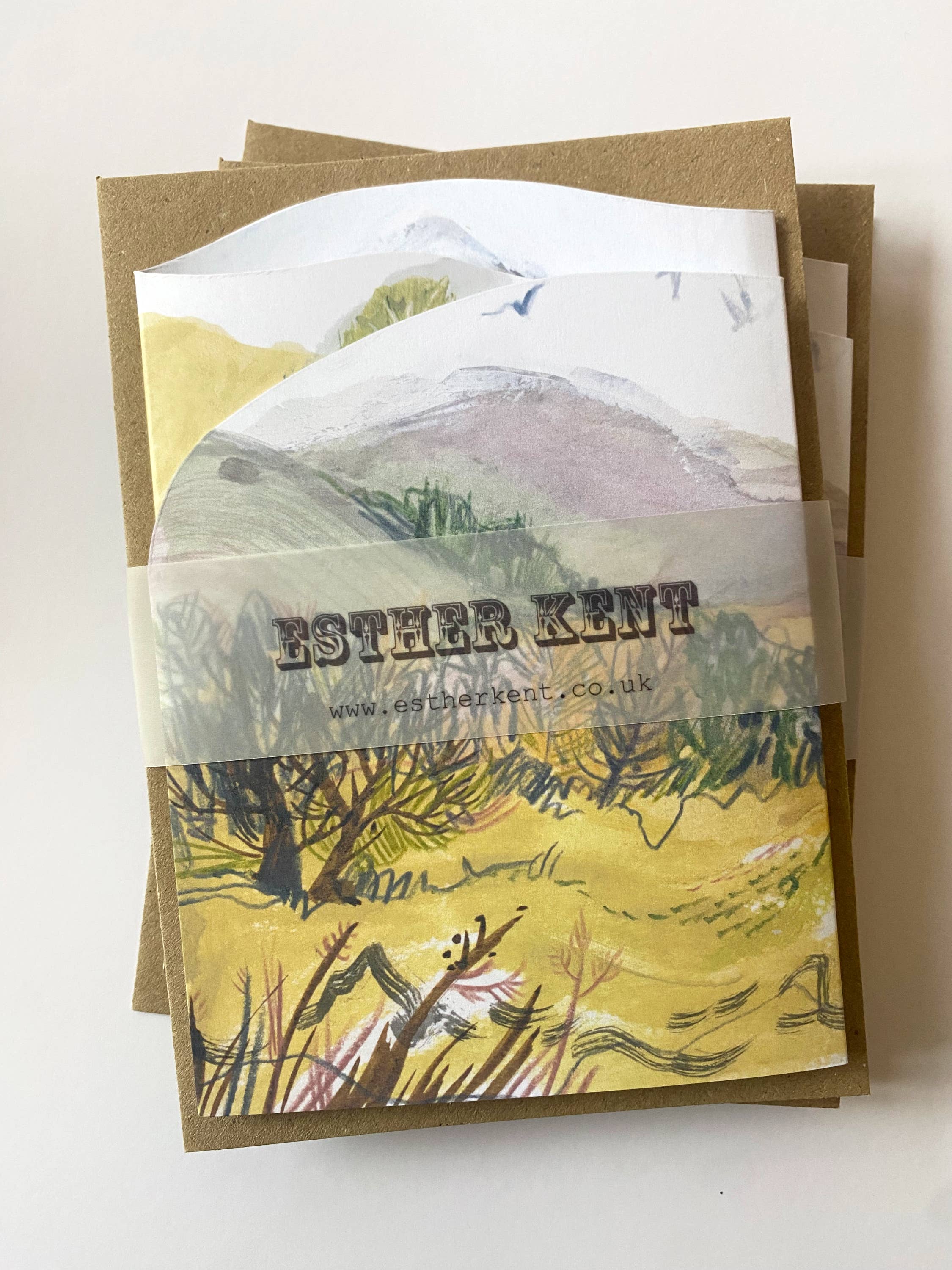 Esther Kent Design – wholesale Everyday greeting card – Hill & Glen Concertina Card1