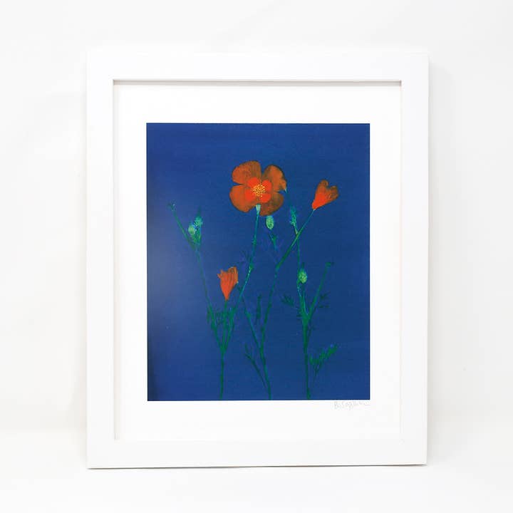 Orange Poppy Giclée kunsttryk for engroshandel hos Little Gem Gallery
