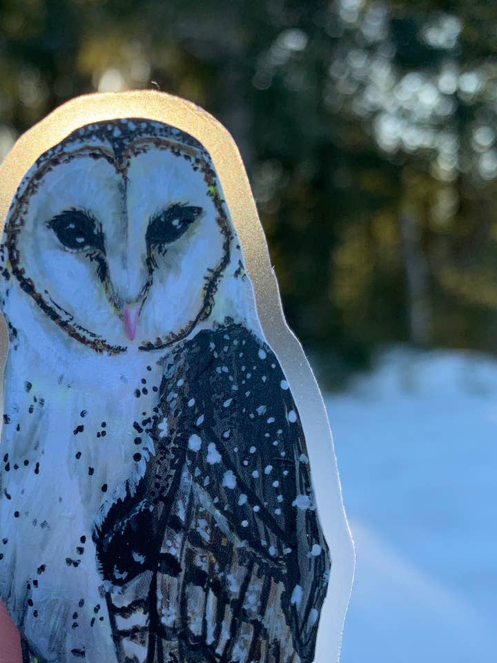 Adesivo con gufo fienile per la vendita all'ingrosso da parte di Willough Designs