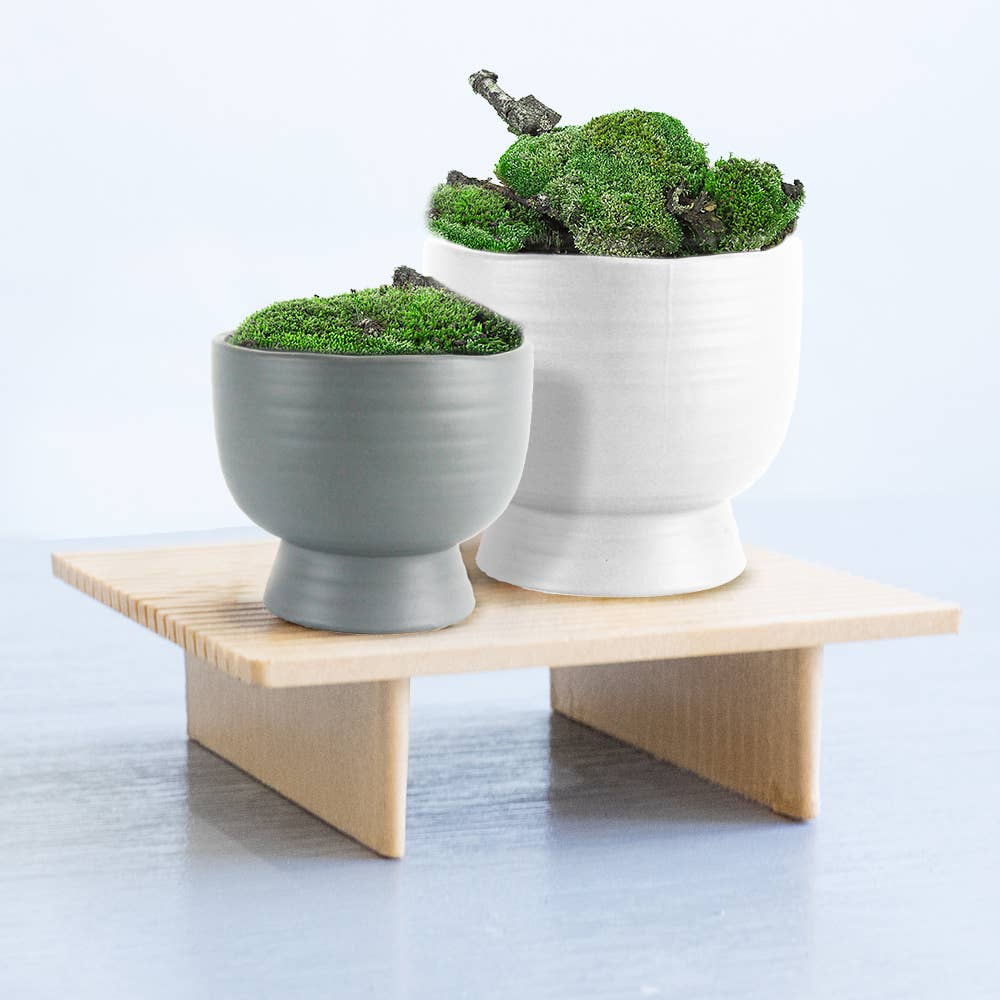 Galore Home - Wholesale Plant Pot - 5.5" Mid Century Short Ceramic Pot3