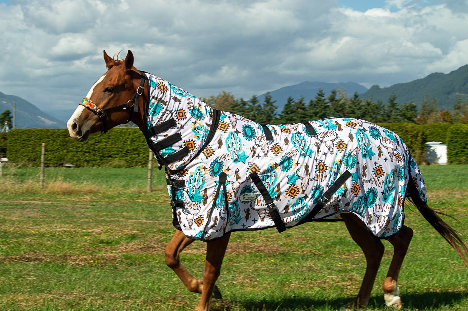 Schulz Equine - Vente Équipement d’équitation - Drap Howdy Fly2