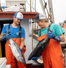 Local Ocean Seafoods - Wholesale Tinned Fish - Oregon Albacore Tuna Cans - Hand-packed Tinned Fish 7 oz can2