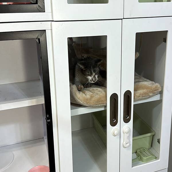 Cove Products LLC - Wholesale Pet Carrier - Cat - Single Unit Cat Stax (3rd Generation)3