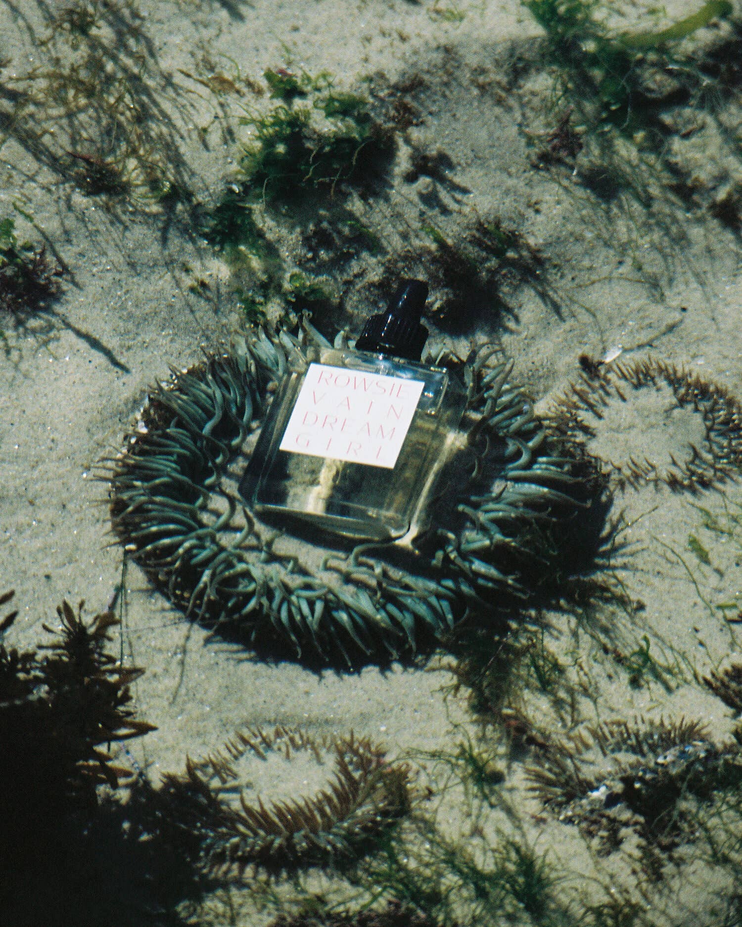 ROWSIE VAIN - Vente Huile parfumée - BOUTEILLE D'HUILE DREAMGIRL (60 ml)4