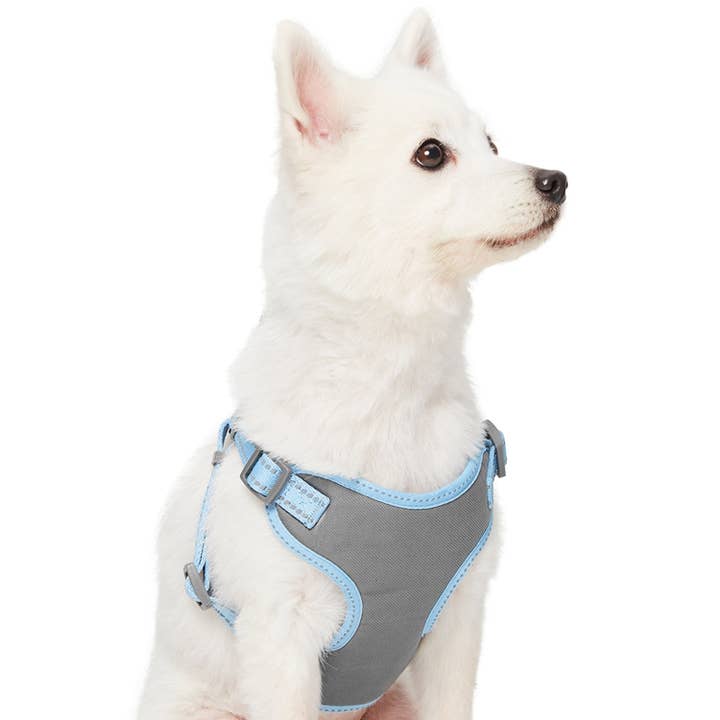 4 Colors,Pastel Reflective Dog Harness Vest for Night Safety for wholesale by Blueberry Pet
