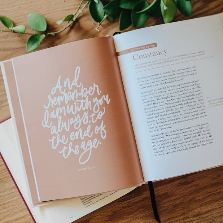 The Daily Grace Co - Wholesale Book - Adult - The Promises of God | Coffee Table Book