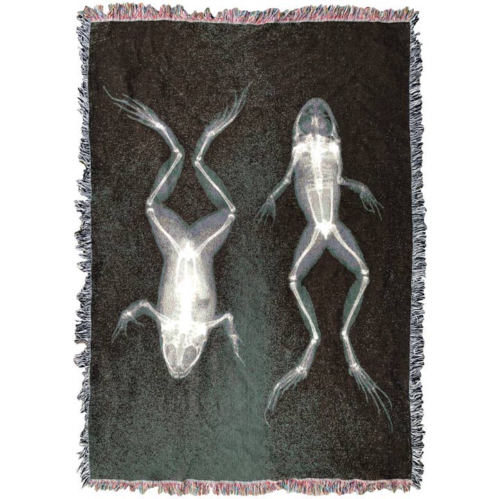 Couverture FROGS XL pour la vente par Inner Decay