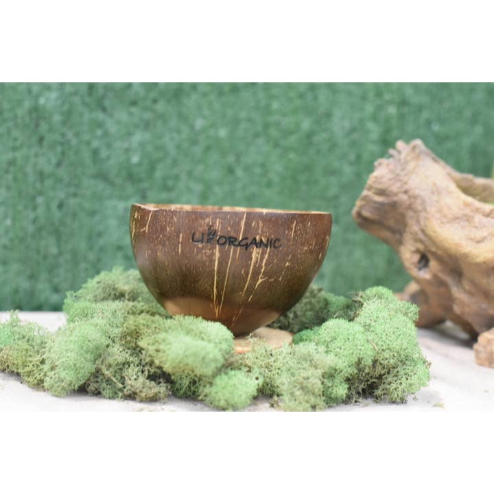 Livorganic Essentials LLC - Wholesale Bowl - Coconut Shell Bowl | Natural and Handcrafted4