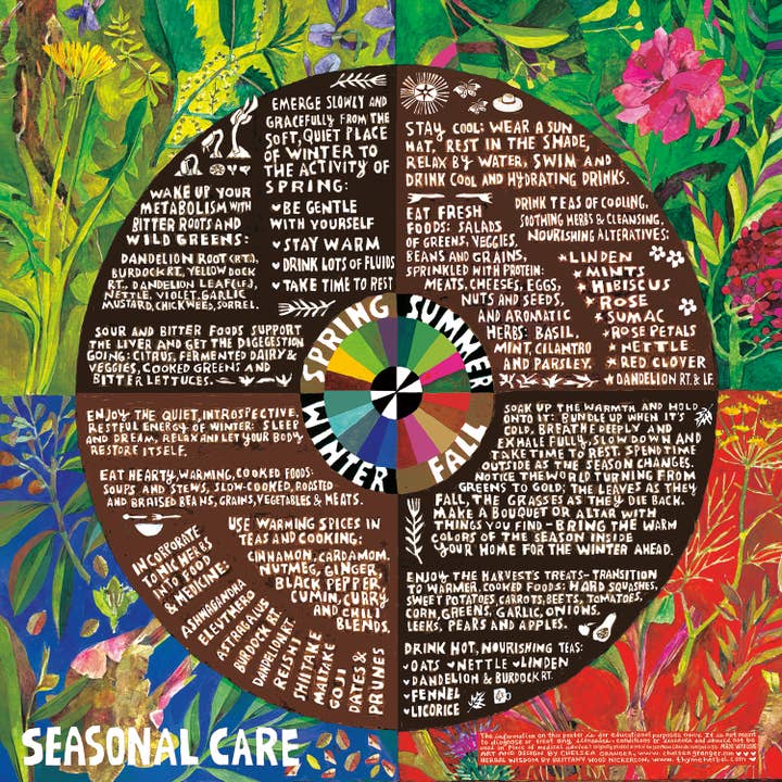 Thyme Herbal - Wholesale Poster - Seasonal Care poster
