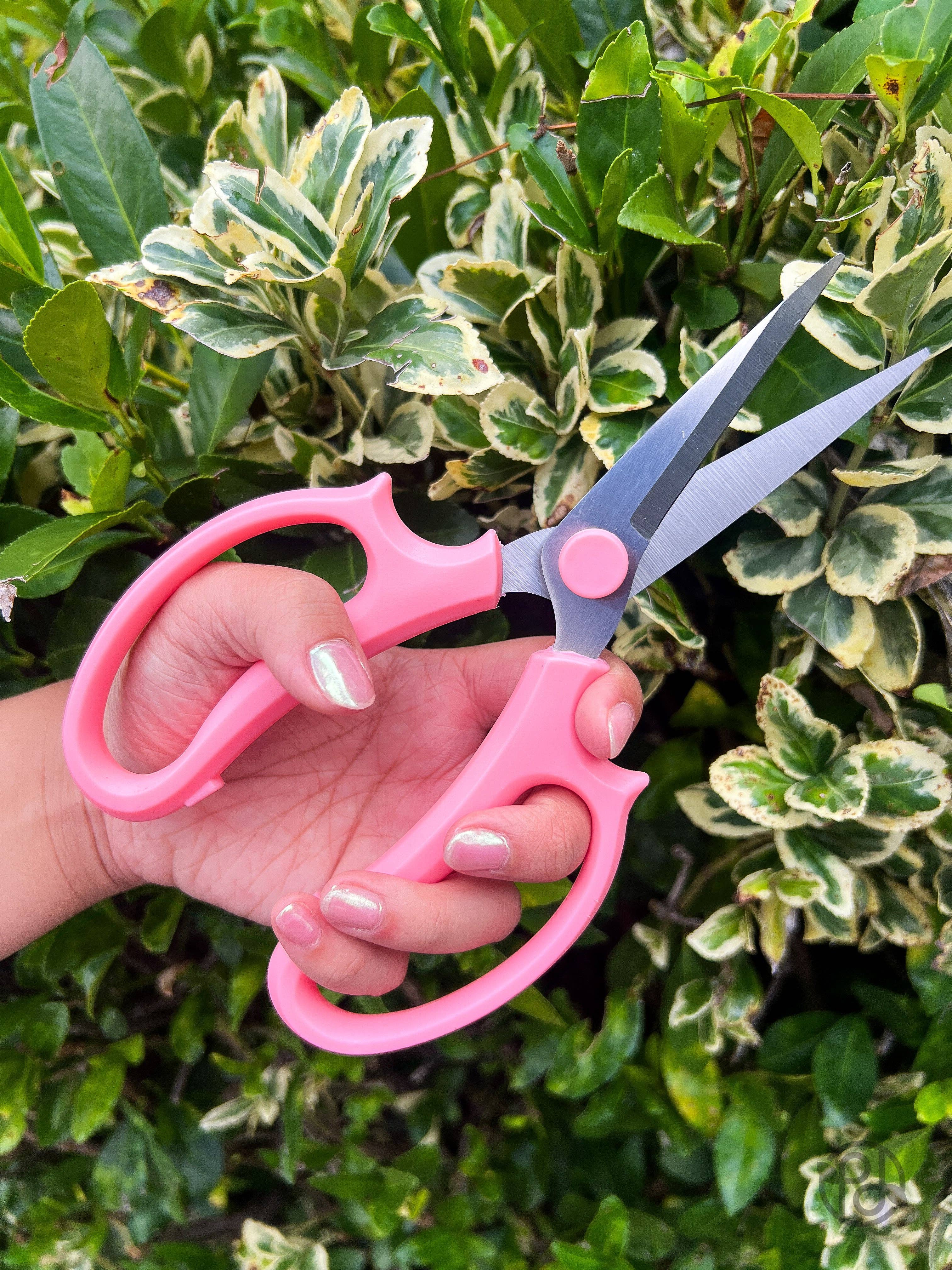 Propagation Diaries - Vente Outil de jardinage - Sécateurs2