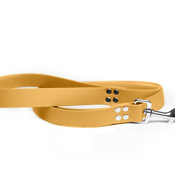 GUINZAGLIO NORMAL WATER GREEN (copia) per la vendita all'ingrosso da parte di Pets & Props