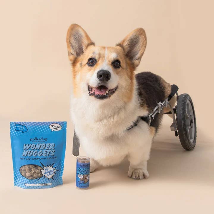 Pet Palette Distribution - Wholesale Pet Treats - Dog - Polkadog Wonder Nuggets White Fish & Kelp Mini Tube 2.5oz2