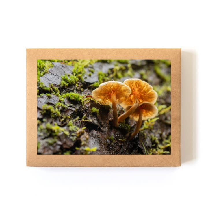 "Umbrellas" Card Boxed Set (8 Cards + Envelopes) for wholesale by Andrea Morris Art