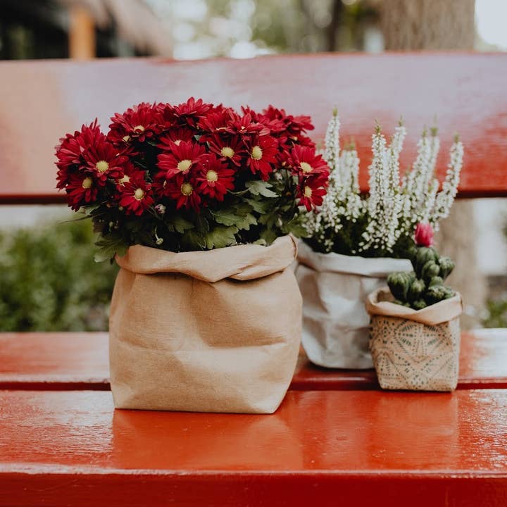 4" Soft Planter - Washable Paper for wholesale by Perennity Home & Gift