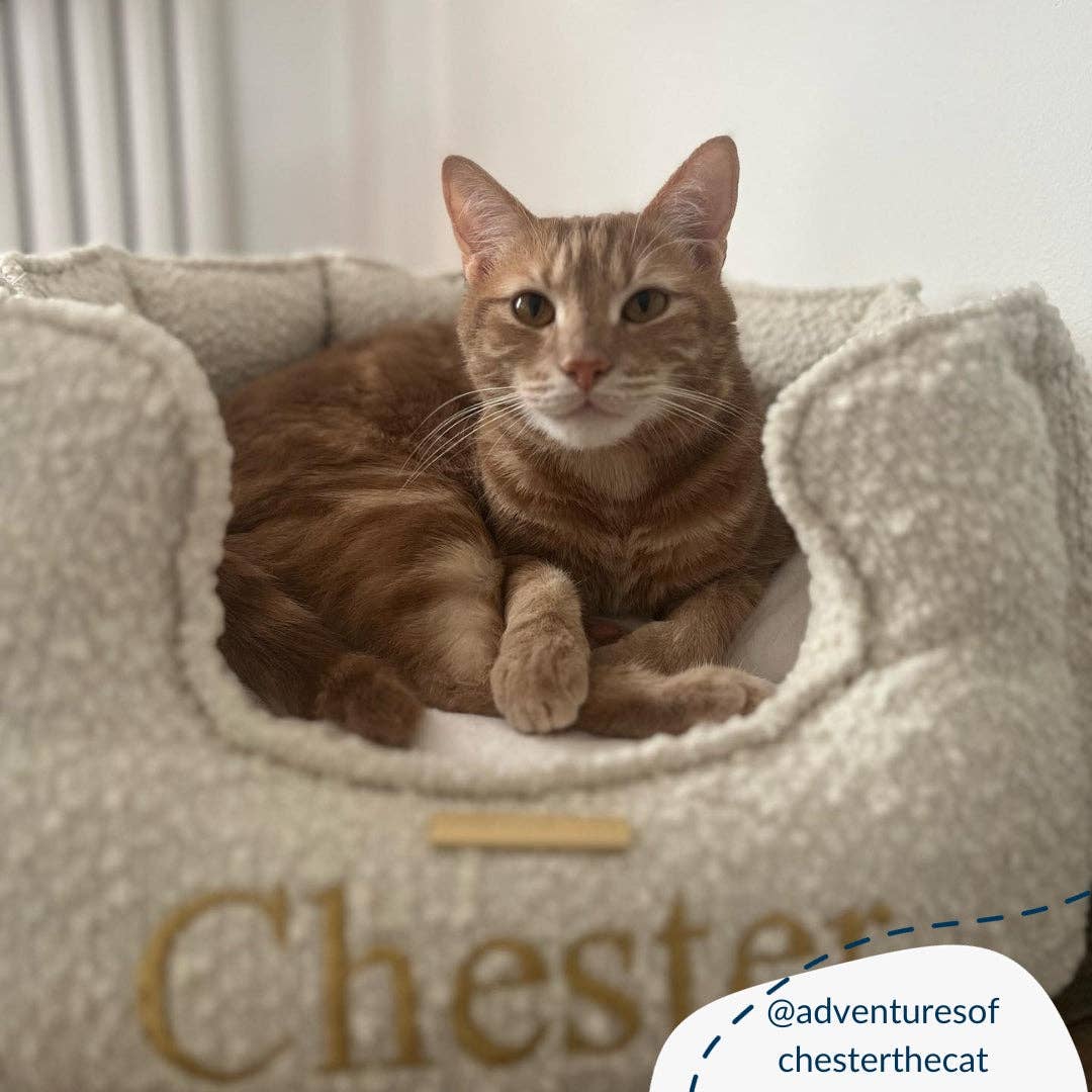 Lords and Labradors – wholesale Pet bed – Cat – High Wall Bed For Cats in Bouclé10