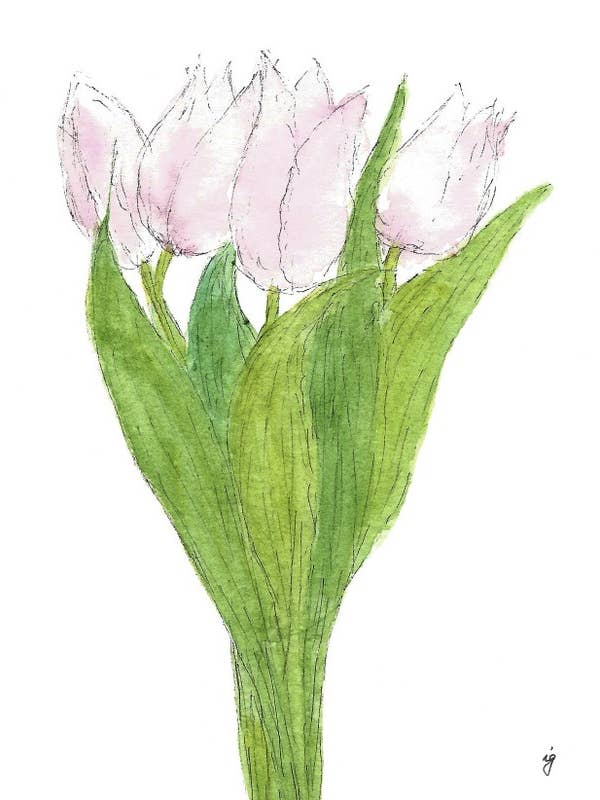 Tulipes pour la vente par SAS {Seattle Art Studio}