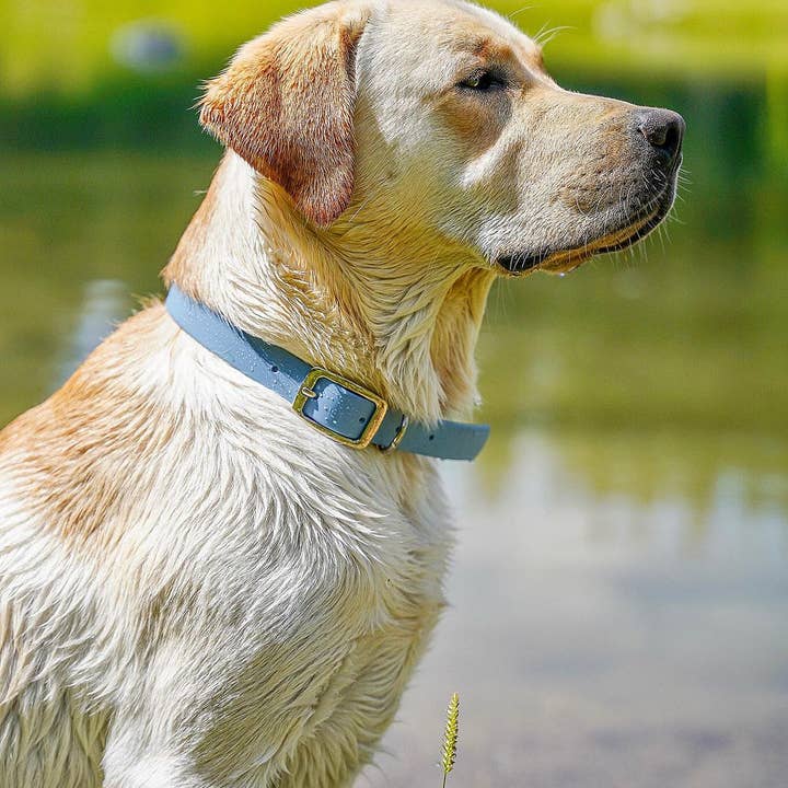 Ploouf Dogs - Wholesale Pet Collar - Dog - Glacier blue “soft touch” dog collar4