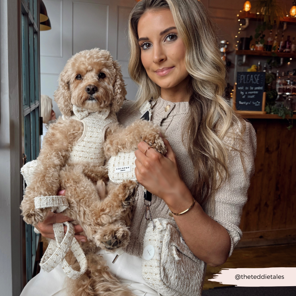 Cocopup London - Wholesale Tuig voor huisdieren - Hond - Vanillekleurig Getextureerd Tweed Verstelbaar NekHARNAS8