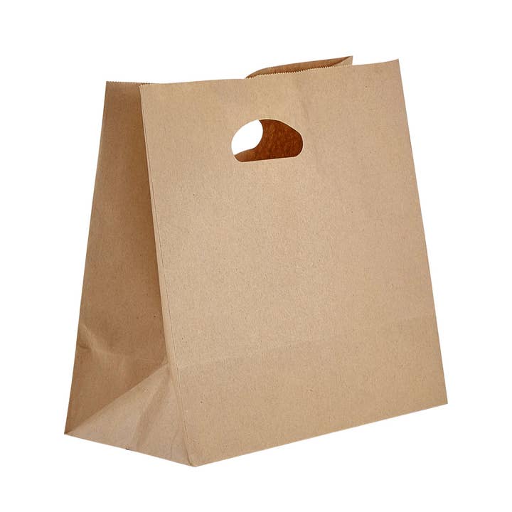 PTP BAGS - Wholesale Grocery/Shopping Bag - Paper Die Cut Handle Bags1