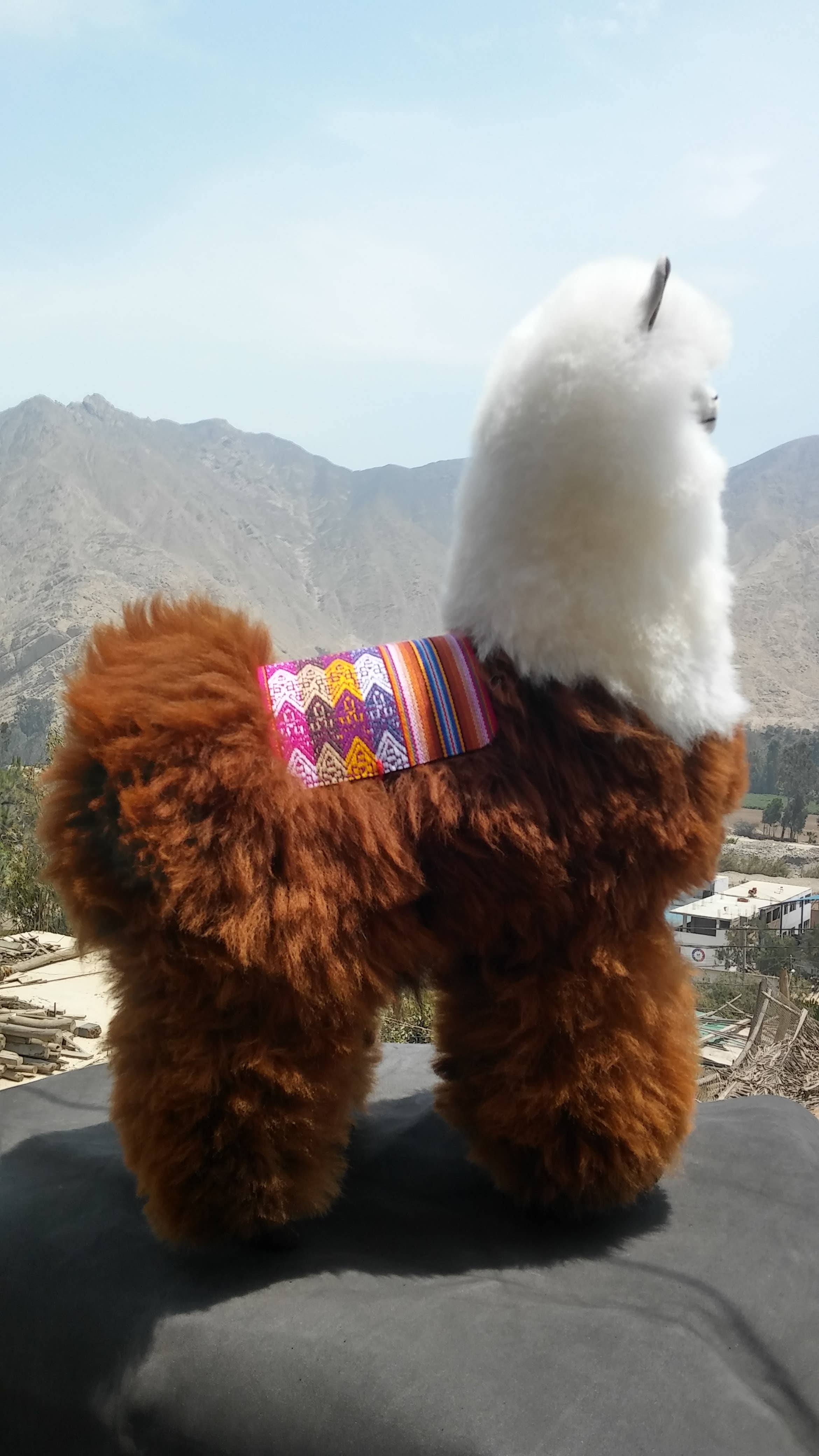 Blossom Inspirations – wholesale Fyllda/plyschleksaker - Barn och baby – Stående alpaca-leksak14