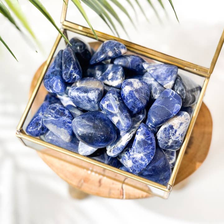 Large Sodalite Tumbled Stones ( Pack of 10 ) for wholesale by Yellow Tree Company