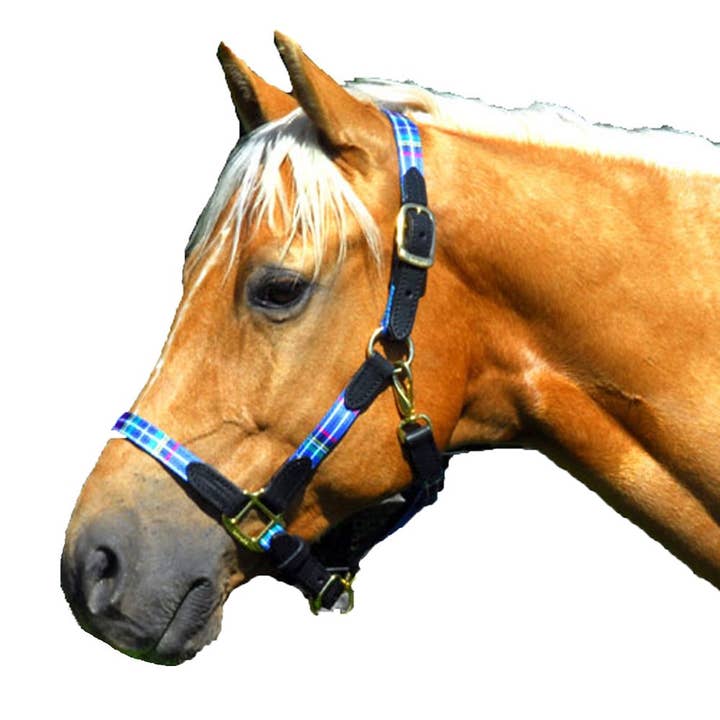 Intrepid International - Wholesale Horseback Riding Gear - 1" Highland Plaid Nylon Halter with Leather Accents