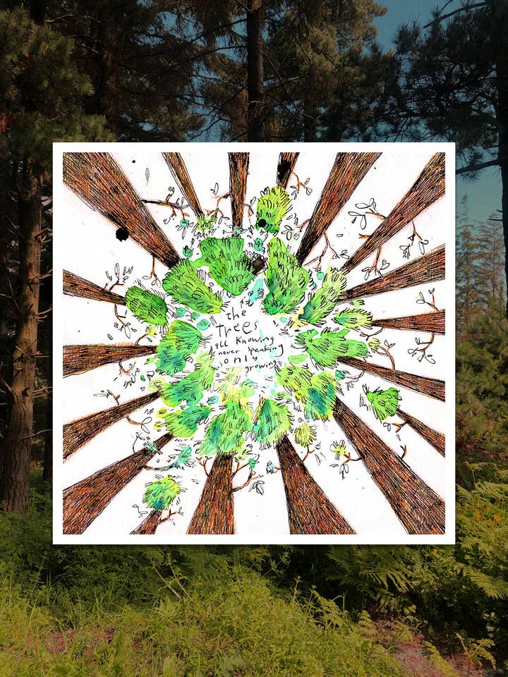 Trees for wholesale by Bronagh Lee