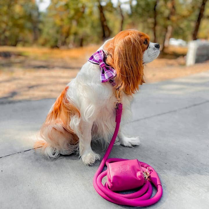 Doggie Republic - Wholesale Pet Poop Bag Dispenser - The Classic Waste Bag Holder - Raspberry1