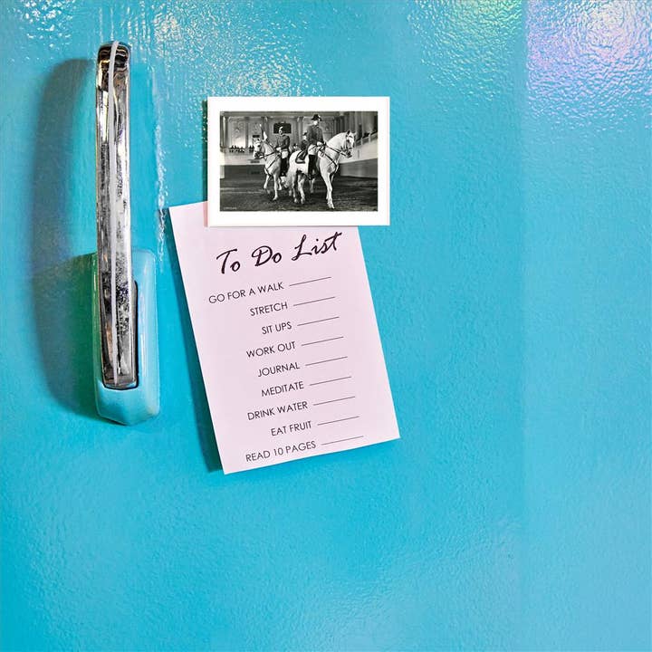 Found Image Press – Großhandel Magnete – Magnet EQ-76 Spanische Hofreitschule Wien1