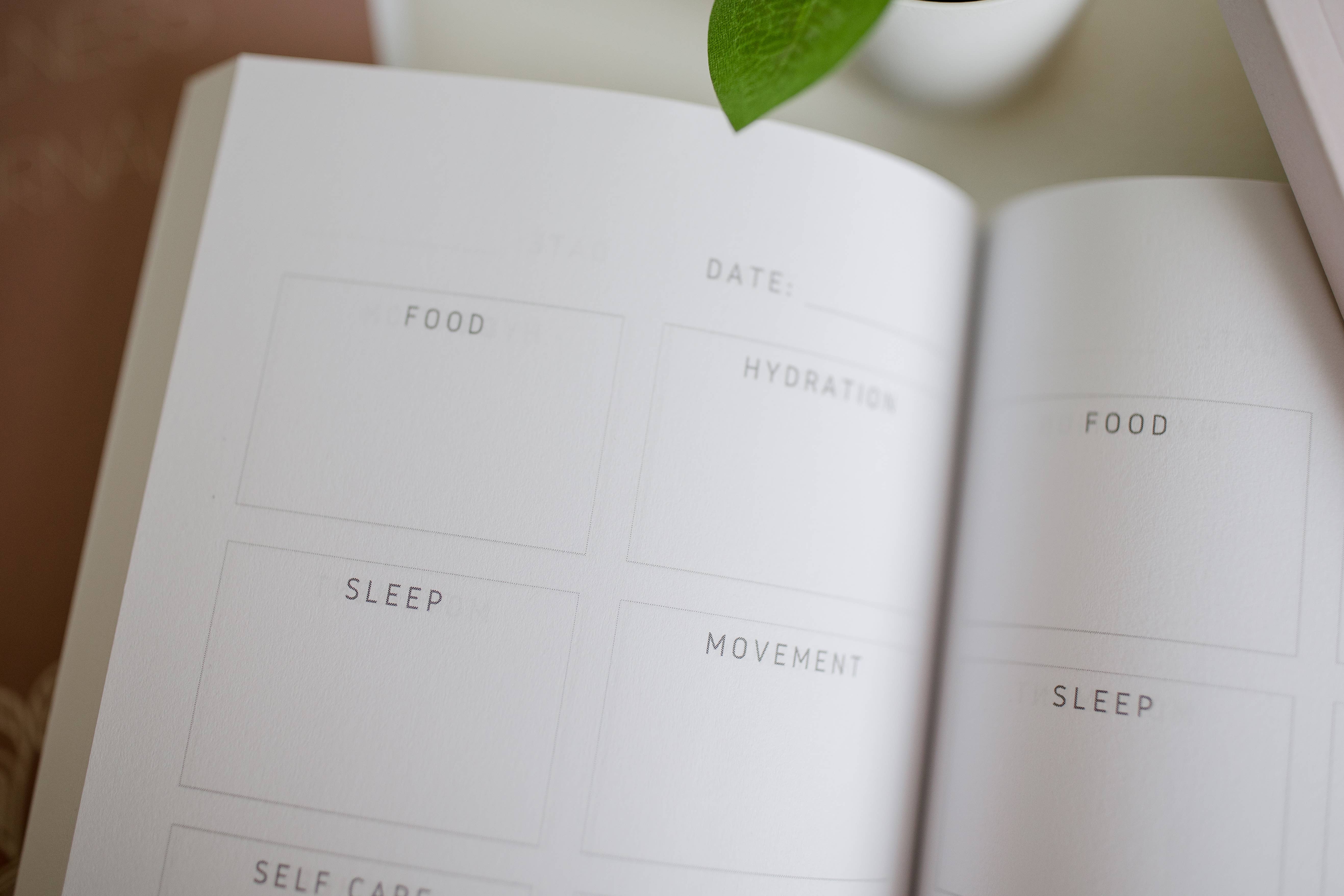 Full Bloom Journals - Wholesale Journal/Diary - Wellness Journal2