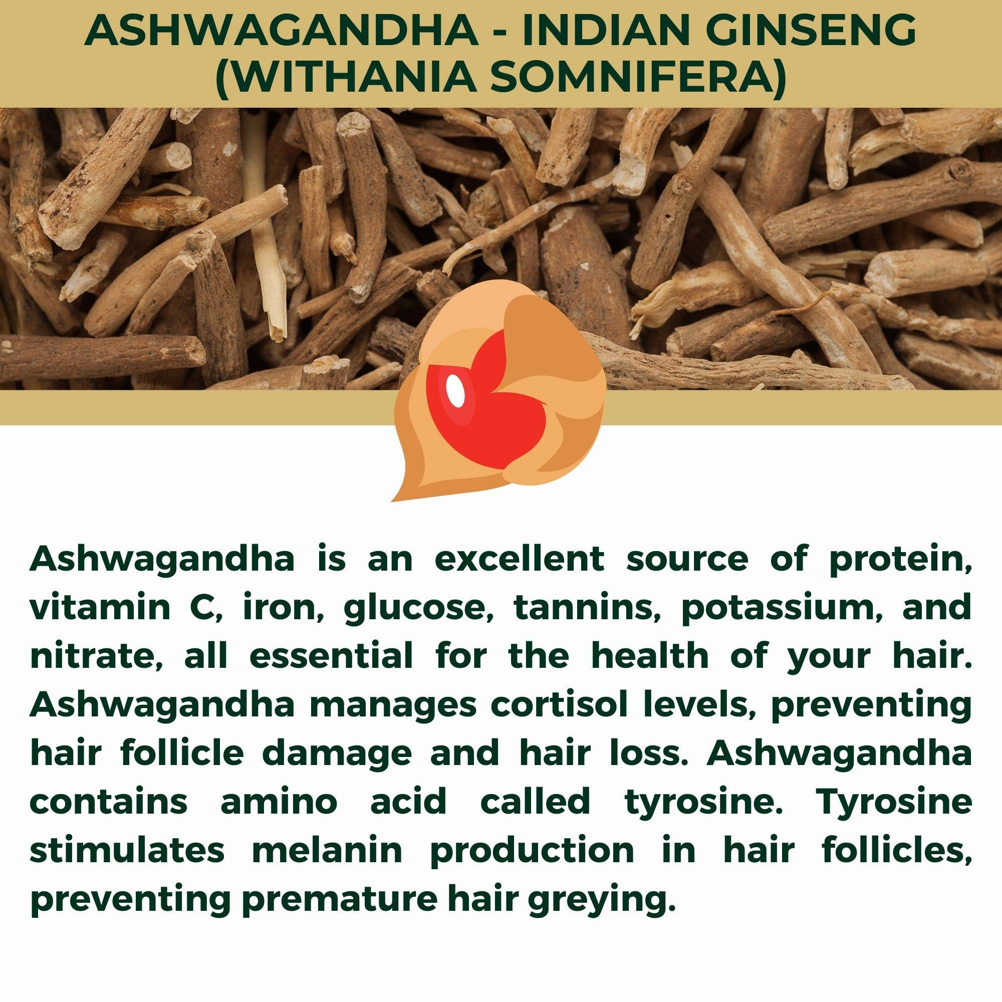 The Sacred Essence - Wholesale Hair Serum - KALA - Saffron Based Serum with Biotin & 15 Ayurveda Herbs6