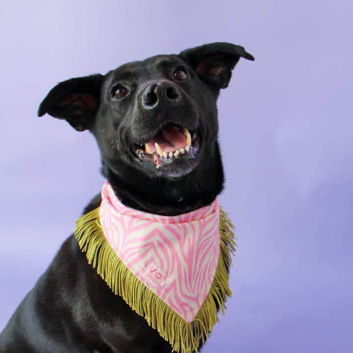 Velvet Outlaw - Wholesale Pet Bandana - Dog - Pink Zebra Stripe with Sage Green Fringe Pet Bandana5