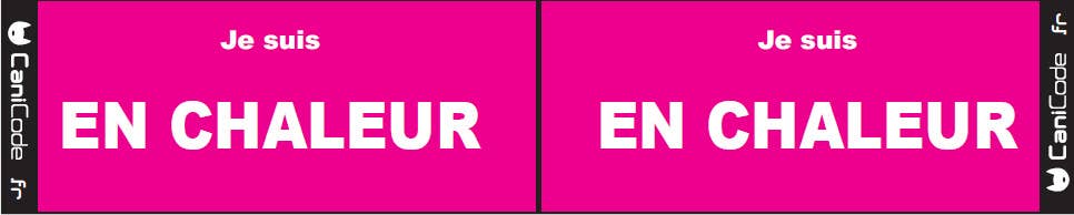 AniCode – Engroshandel Halsbåndscharms til kæledyr – Hund – Scratch CaniCode® til og fra, i løbetid1