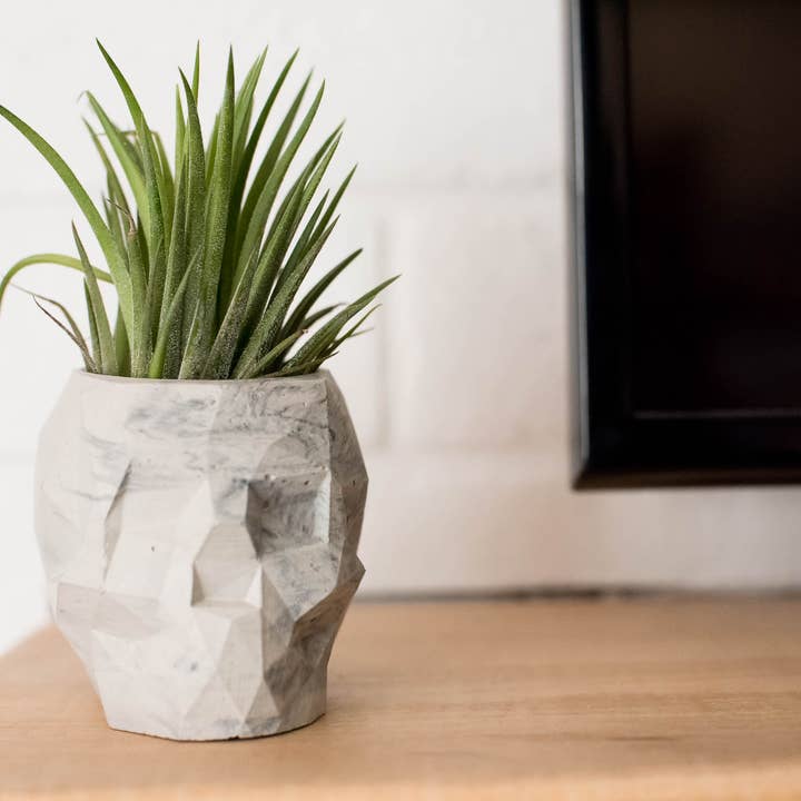 Made by Kippen - Wholesale Plant Pot - Skeleton Planter1