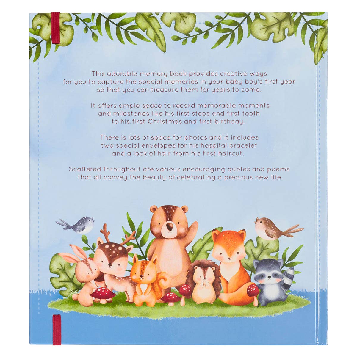Christian Art Gifts - Wholesale Memory Book - Kids & Baby - Baby Memory Book for Boys1