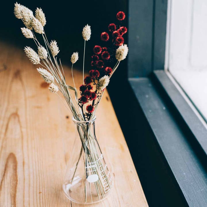 Erlenmeyer Flask Vase for wholesale by HARIO USA