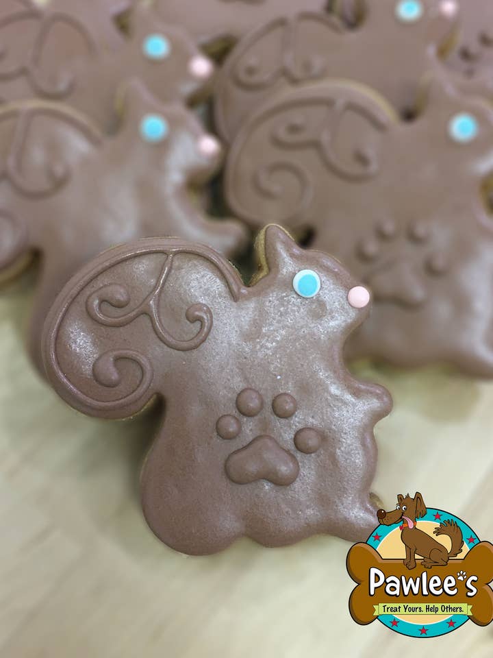 Eichhörnchen-Kekse 10/Stück-Packung für den Großhandel von Pawlee’s