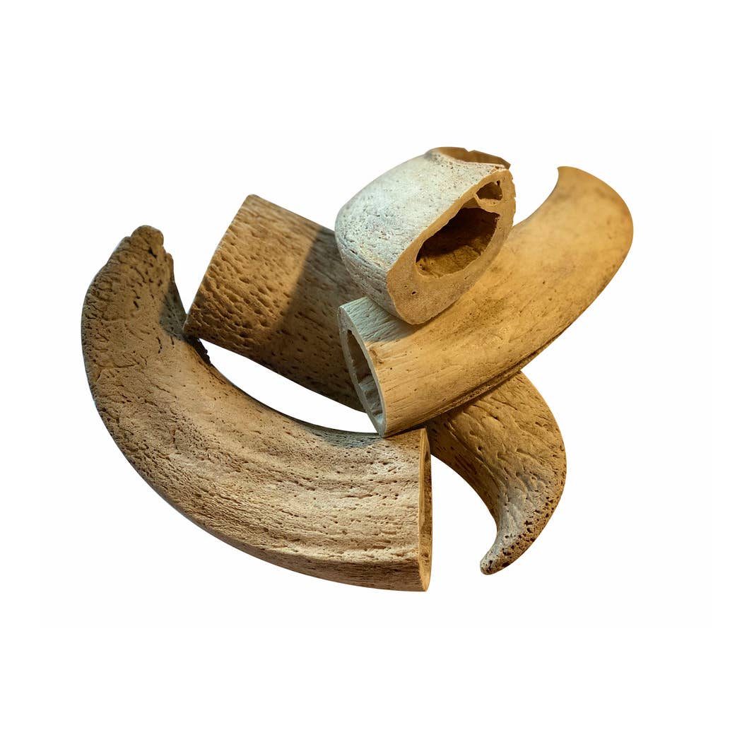 Rozie's Naturals - Wholesale Pet Treats - Dog - WATER BUFFALO HORN CORE - Grain-Free, 100% Natural Chews9