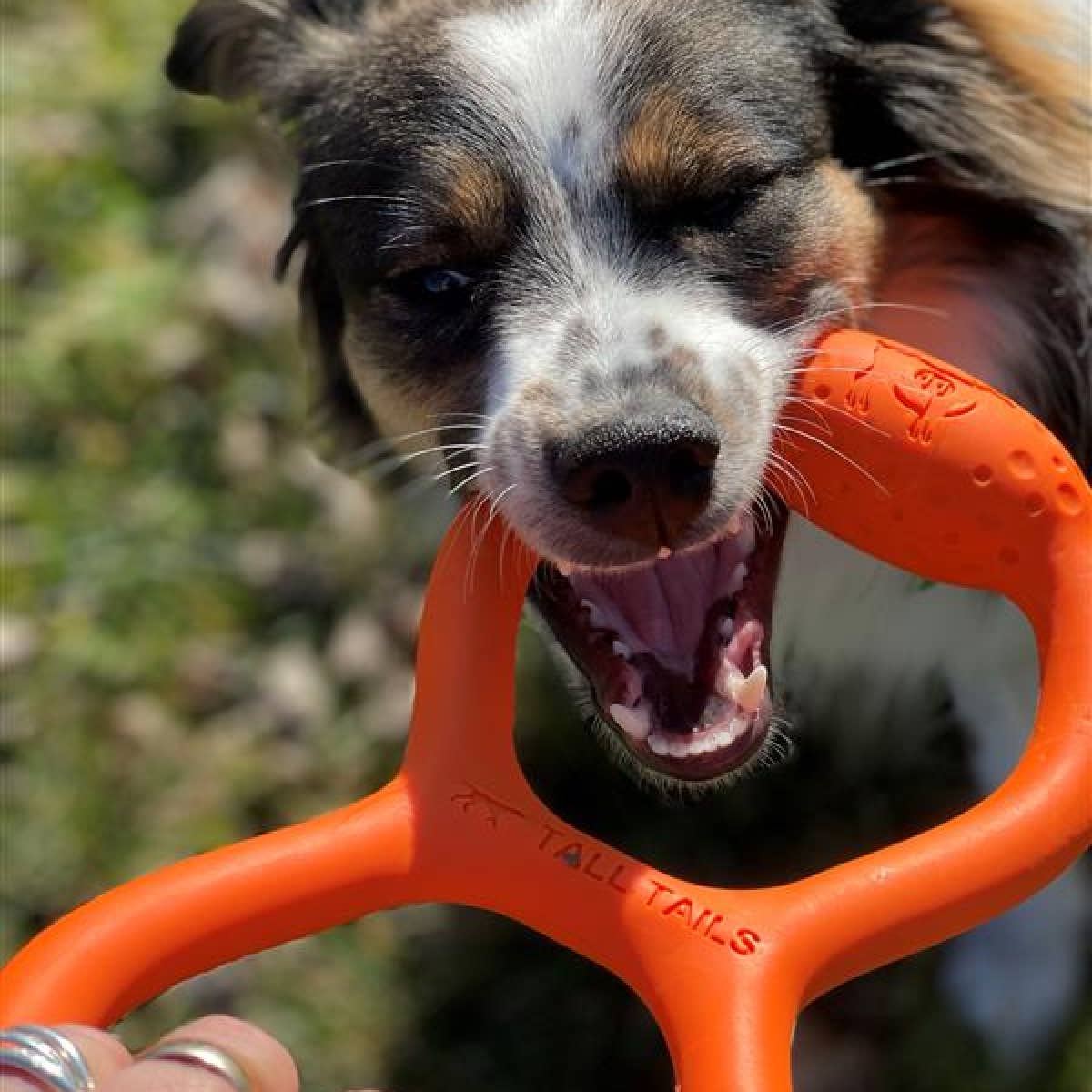 Tall Tails - Wholesale Pet Toy - Dog - GOAT Natural Rubber Tug Dog Toy5