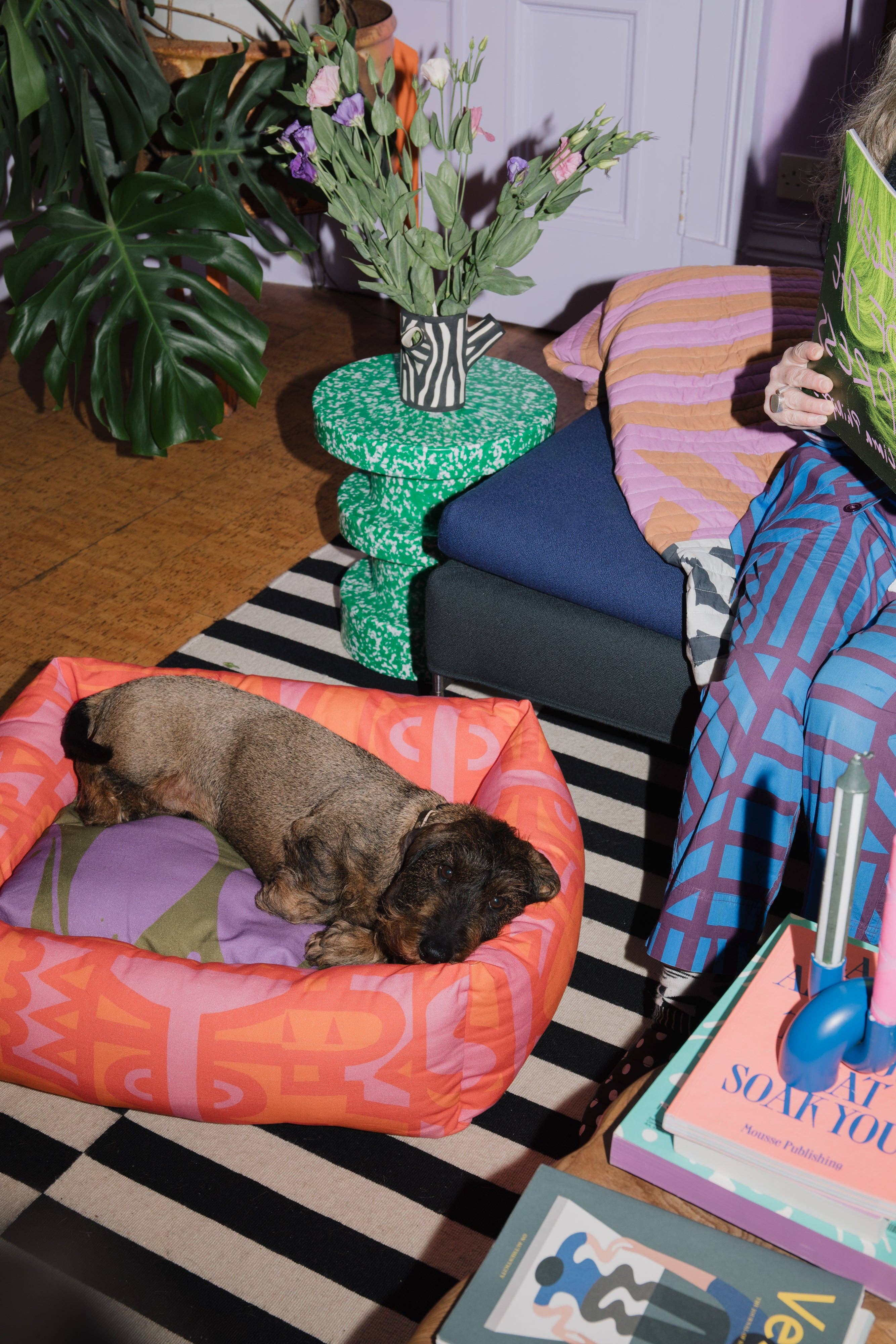 Irregular Sleep Pattern – wholesale Pet bed – Dog – Irregular Dog Bed in Cayenne: Medium9