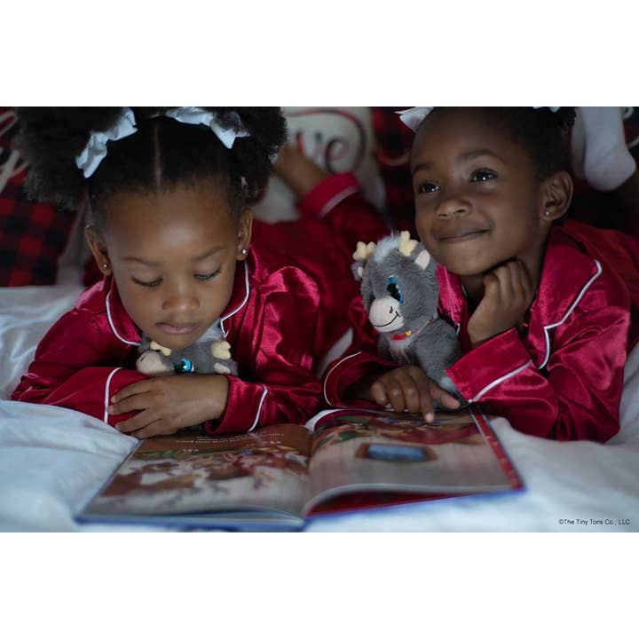 Simon & Schuster - Wholesale Book - Kids - Reindeer in Here (Book & Plush) by Adam Reed