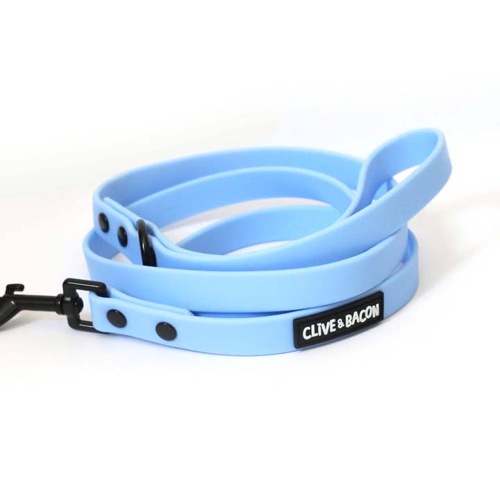 Perwinkle Waterproof Dog Leash for wholesale by Clive and Bacon, LLC