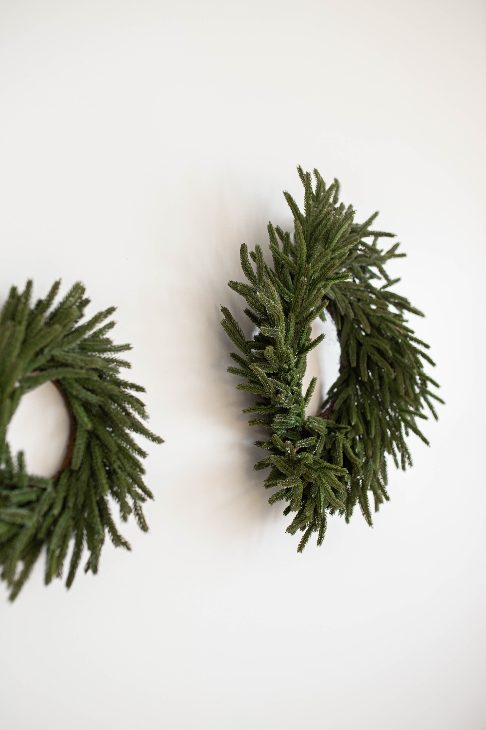 Luxe B Co - Wholesale Wreath - Norfolk Pine Real Touch Wreath Mini6