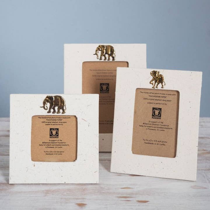 The Paper High Gift Company Limited - Vendita all'ingrosso Cornice portafoto - Cornici portafoto Elephant Dung - Fatte a mano3
